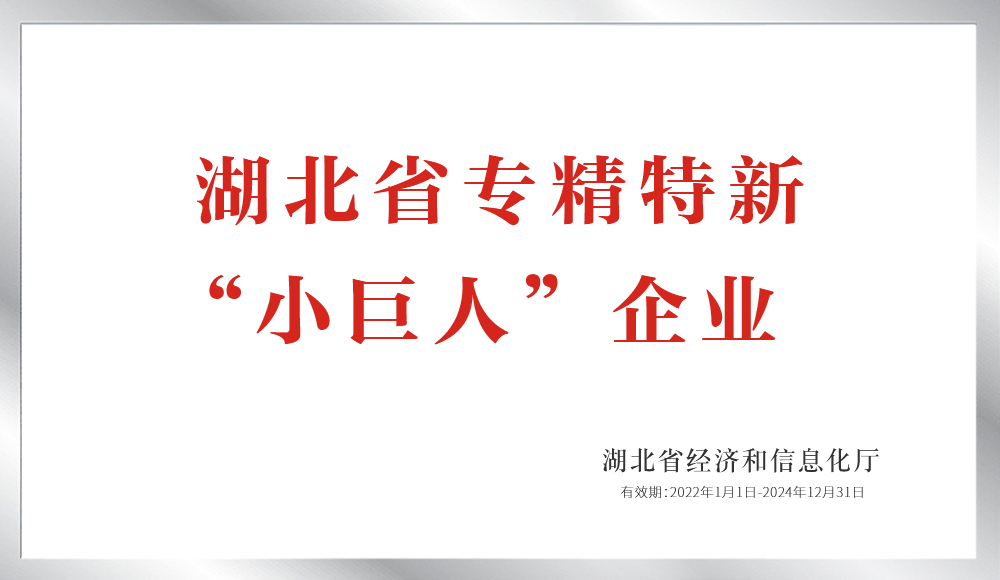 湖北省专精特新“小巨人”企业